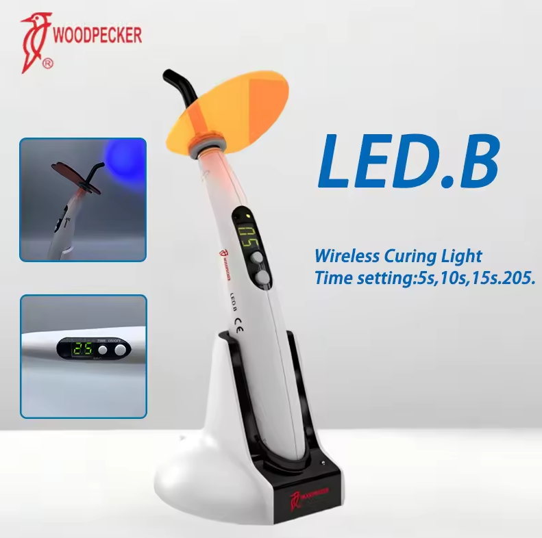 Dental Aushärtung Licht Specht – Resin Curing Station Bewertung und Preis